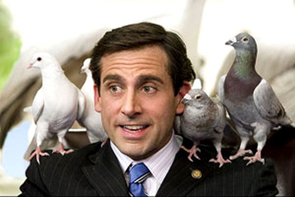 Evan tout-puissant : Photo Steve Carell