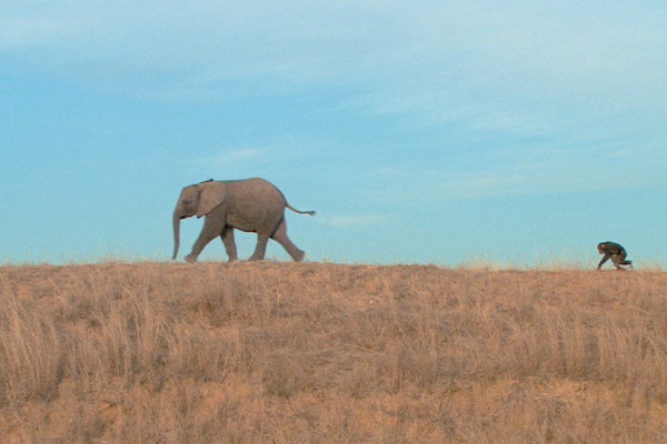 La Balade des éléphants : Photo Mario Andreacchio