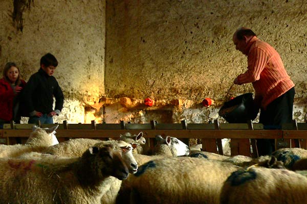 Il a suffi que maman s'en aille... : Photo René Féret, Marie Féret, Jean-François Stévenin