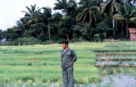 Good Morning, Vietnam : Photo Robin Williams, Barry Levinson
