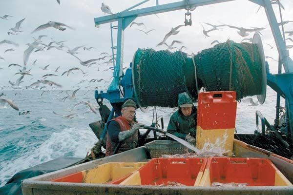 We Feed the World - le marché de la faim : Photo Erwin Wagenhofer