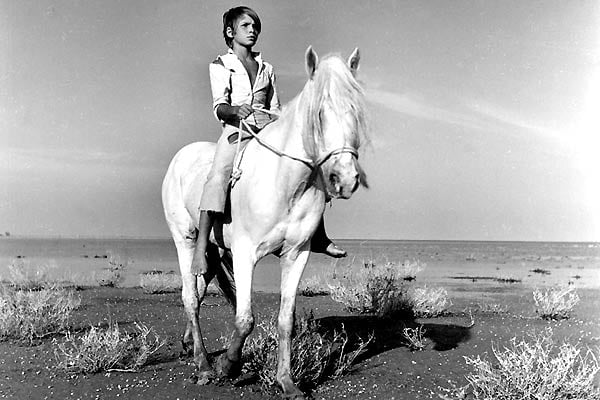 Crin blanc: Le cheval sauvage : Photo Albert Lamorisse, Pascal Lamorisse, Alain Emery
