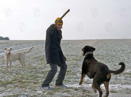 Des chiens dans la neige : Photo Constantin von Jascheroff, Ann-Kristin Reyels