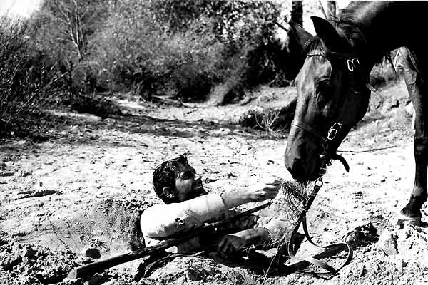 Il Tempo degli avvoltoi : Photo Nando Cicero