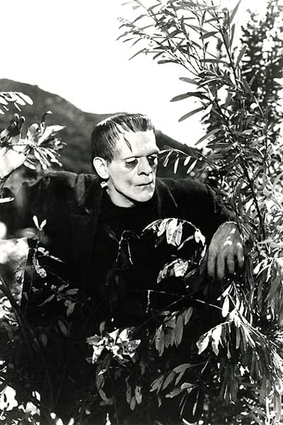 Frankenstein : Photo James Whale, Boris Karloff
