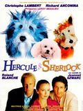 Hercule et Sherlock : Affiche