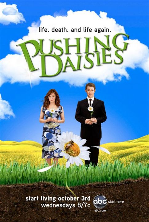 Pushing Daisies : Photo