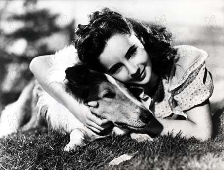 Le Courage de Lassie : Photo Elizabeth Taylor, Fred M. Wilcox