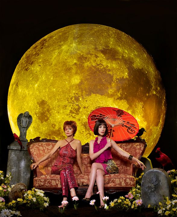 Pushing Daisies : Photo