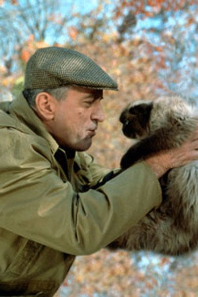 Mon beau-père et moi : Photo Robert De Niro
