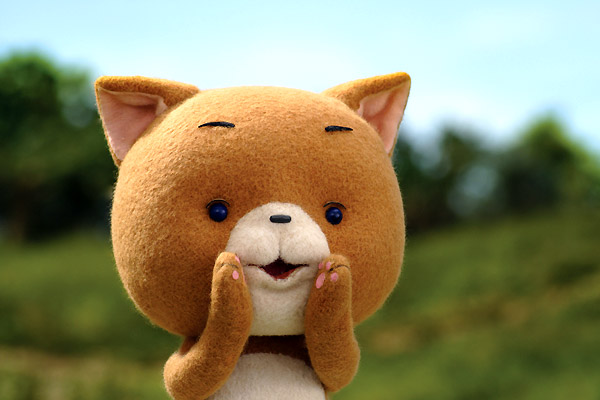 Le Petit chat curieux (Komaneko) : Photo Goda Tsuneo