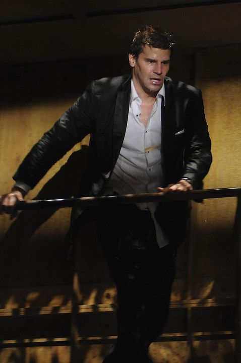 Photo David Boreanaz