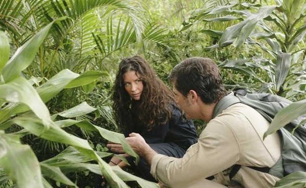 Photo Evangeline Lilly, Matthew Fox