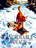 L'Incroyable Voyage : Affiche