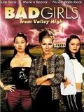 Bad Girls From Valley High : Affiche