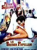 Le baiser papillon : Affiche