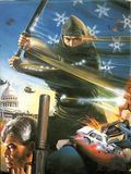 Bad Ninjas : Affiche