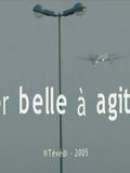 Mer belle à agitée : Affiche