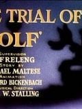 The Trial of Mr. Wolf : Affiche