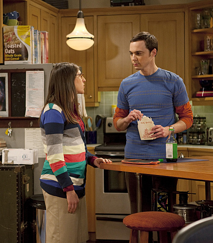 The Big Bang Theory : Photo Jim Parsons, Mayim Bialik