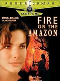 Fire on the Amazon : Affiche