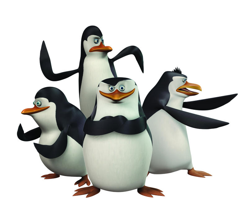 Les Pingouins de Madagascar : Photo