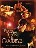 Between Love & Goodbye : Affiche