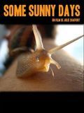 Some sunny days : Affiche