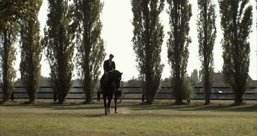 Cavaliers seuls : Photo