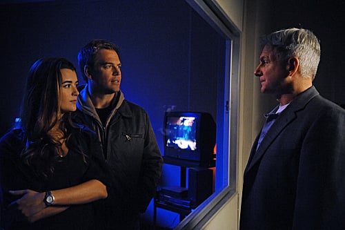 NCIS : Enquêtes spéciales : Photo Mark Harmon, Michael Weatherly, Cote De Pablo