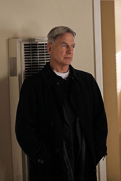 NCIS : Enquêtes spéciales : Photo Mark Harmon