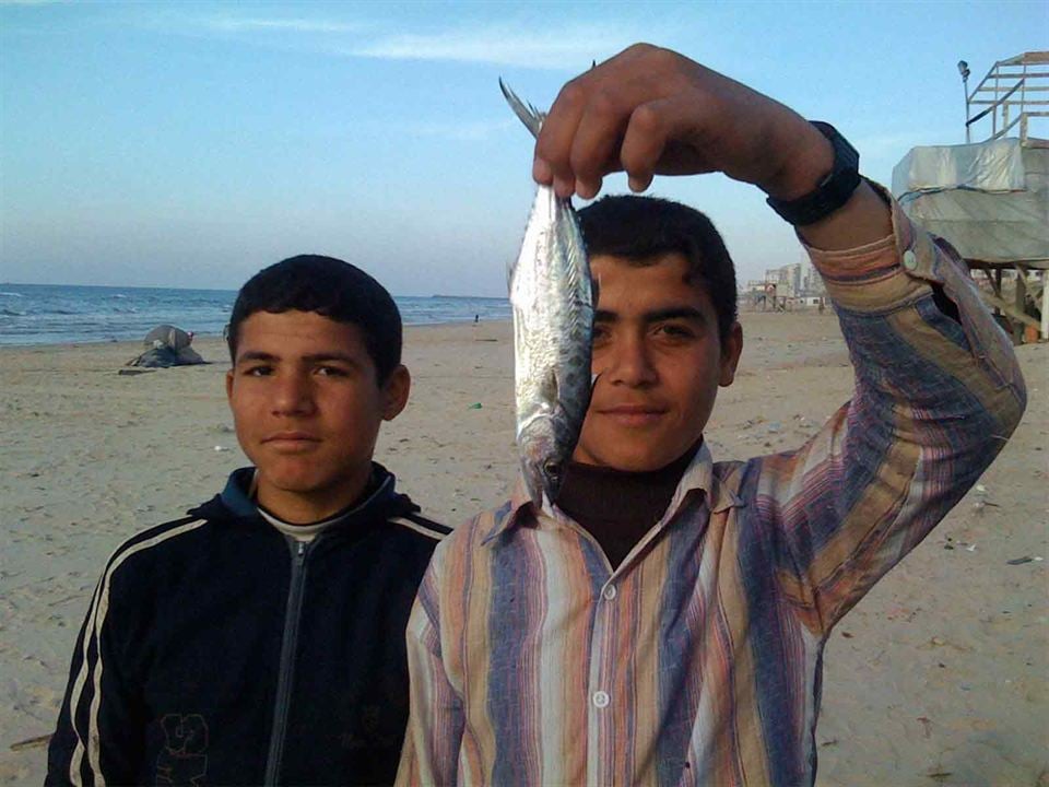 Aisheen (chroniques de Gaza) : Photo