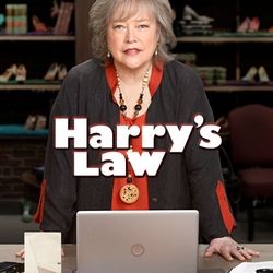 La Loi selon Harry : Affiche