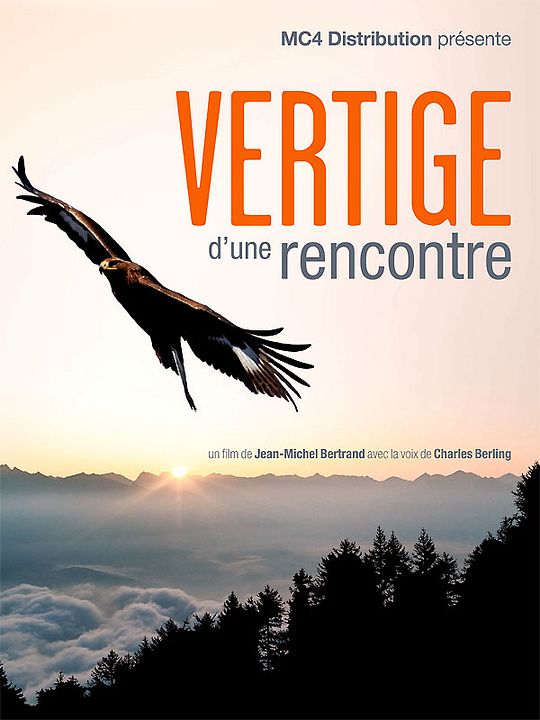 Vertige d'une rencontre : Affiche