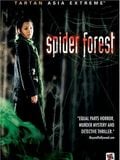 Spider Forest : Affiche