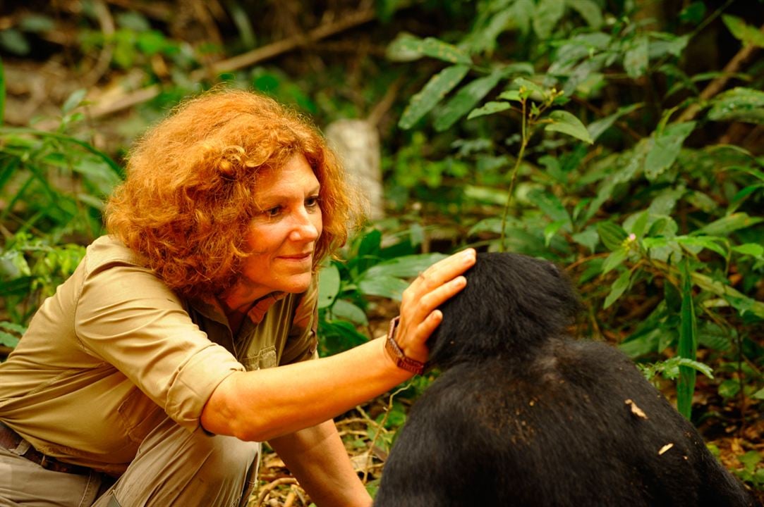 Bonobos : Photo Alain Tixier, Claudine André