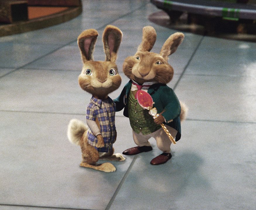 Hop : Photo Tim Hill