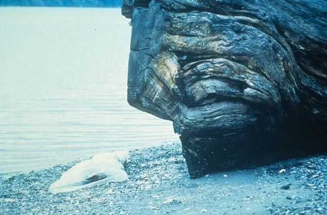 Twin Peaks : Photo