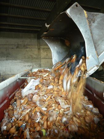 Taste the Waste : Photo