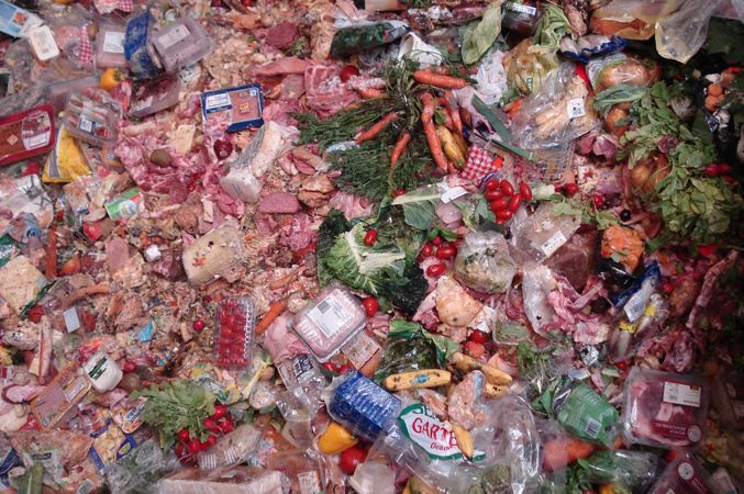 Taste the Waste : Photo