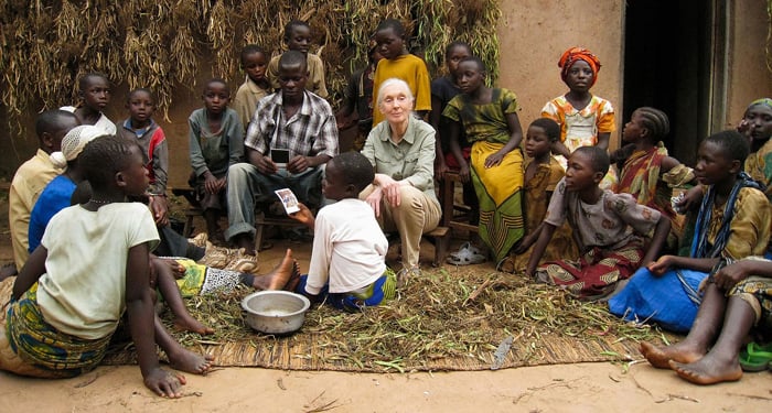 Jane Goodall : retour à Gombe : Photo