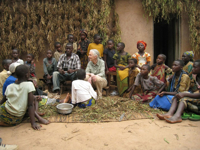 Jane Goodall : retour à Gombe : Photo