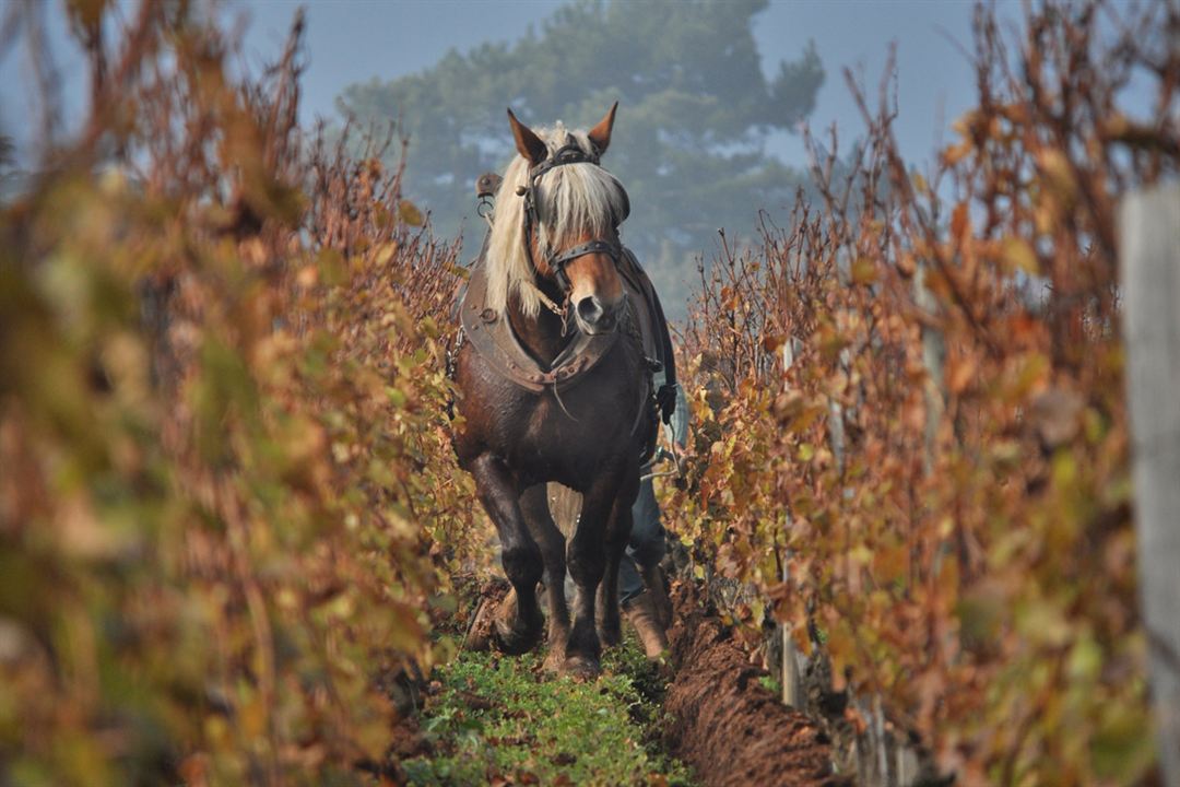 La Clef des Terroirs : Photo