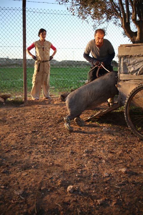 Le cochon de Gaza : Photo