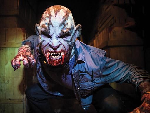 Grimm : Photo
