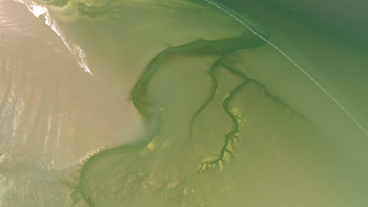 Die Nordsee von oben : Photo