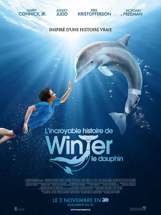 L'Incroyable histoire de Winter le dauphin : Affiche