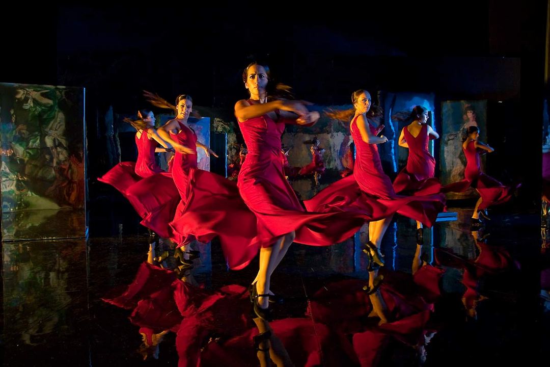 Flamenco, Flamenco : Photo
