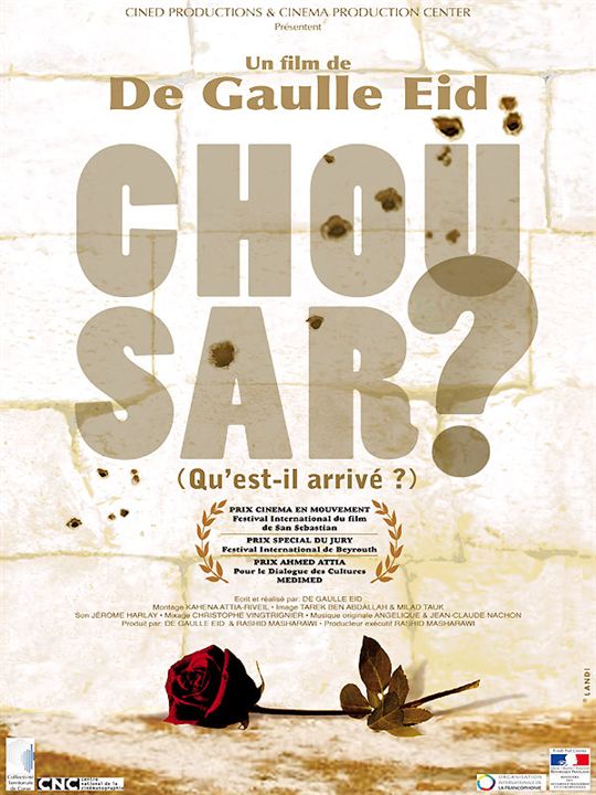 Chou sar? : Affiche