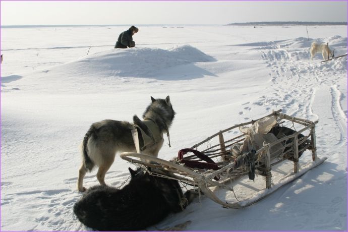 Happy People: A Year in the Taiga : Photo